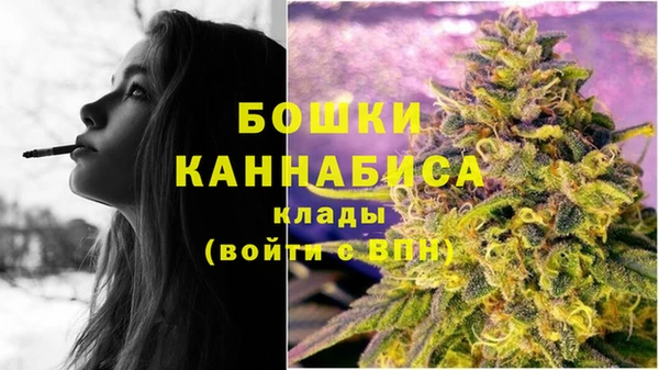 молекула духа Богородск