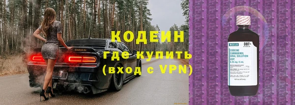 ПСИЛОЦИБИНОВЫЕ ГРИБЫ Бородино